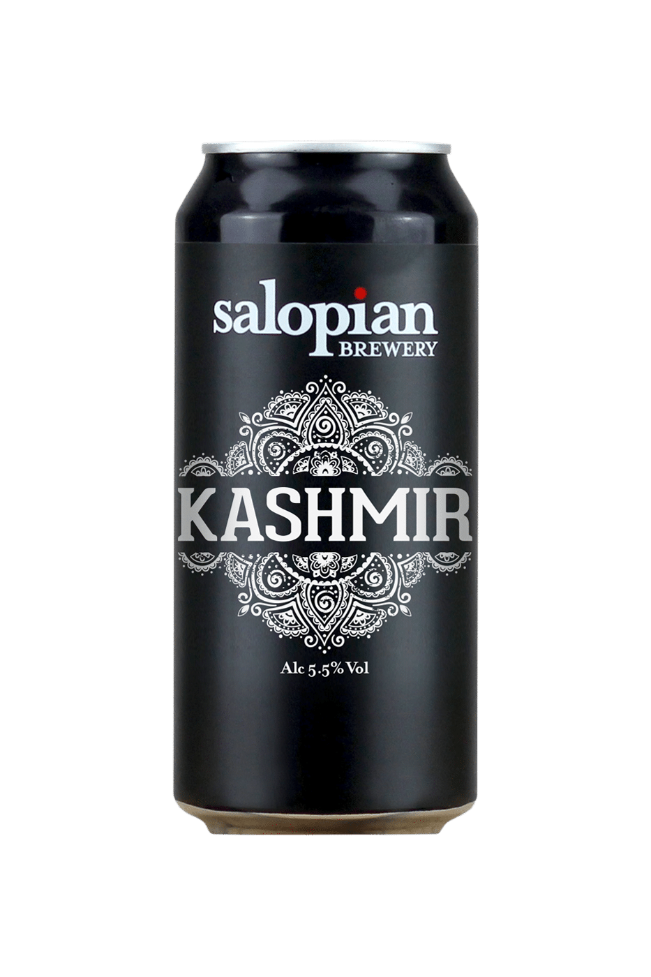 KashmirCanRevised933x1400